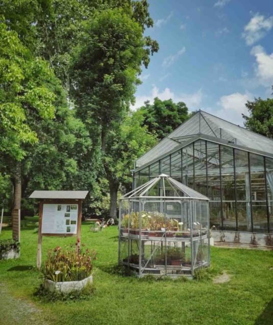 GiocoEsplorazione dell’orto botanico - un’esperienza inaspettata